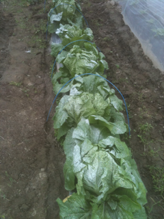image-00231030140157.png