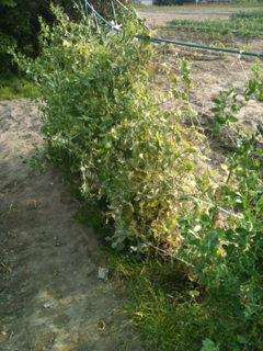 image-00240526022015.png